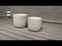 گل / گیاه سبز فیبرکلی کاشت در سبک مدرن مقاوم در برابر آب و هوا