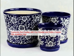 باغ خود را با گلدان های سرامیکی ماندگار و شیک که در اینجا در دسترس هستند، سفارشی کنید