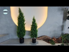 کسب و کار خود را با 110 سانتی متر درخت مصنوعی شفلرا از تامین کنندگان برتر تغییر دهید