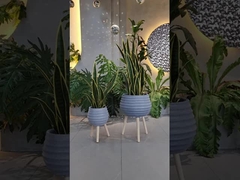 تجربه زیبایی و دوام گیاهان فیبر خاکستری برای سفارش باغ خود امروز