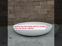 نمایشگاه گیاهان خود را با مجموعه گیاهان چوبی با دوام ما تجدید کنید