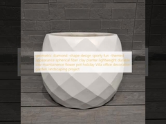 طراحی شکل الماس هندسی سبک سبک وزن دوام گلدان تعطیلات ویلا دفتر تزئینات باغ پروژه منظره سازی