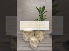 شبیه سازی بافت نابرابر سنگ طنین زمینی دور فیبر گل کاشتگر سبک وزن دوام کم نگهداری گلدان تعطیلات ویلا دکوراسیون دفتر پروژه منظره سازی باغ های سقف