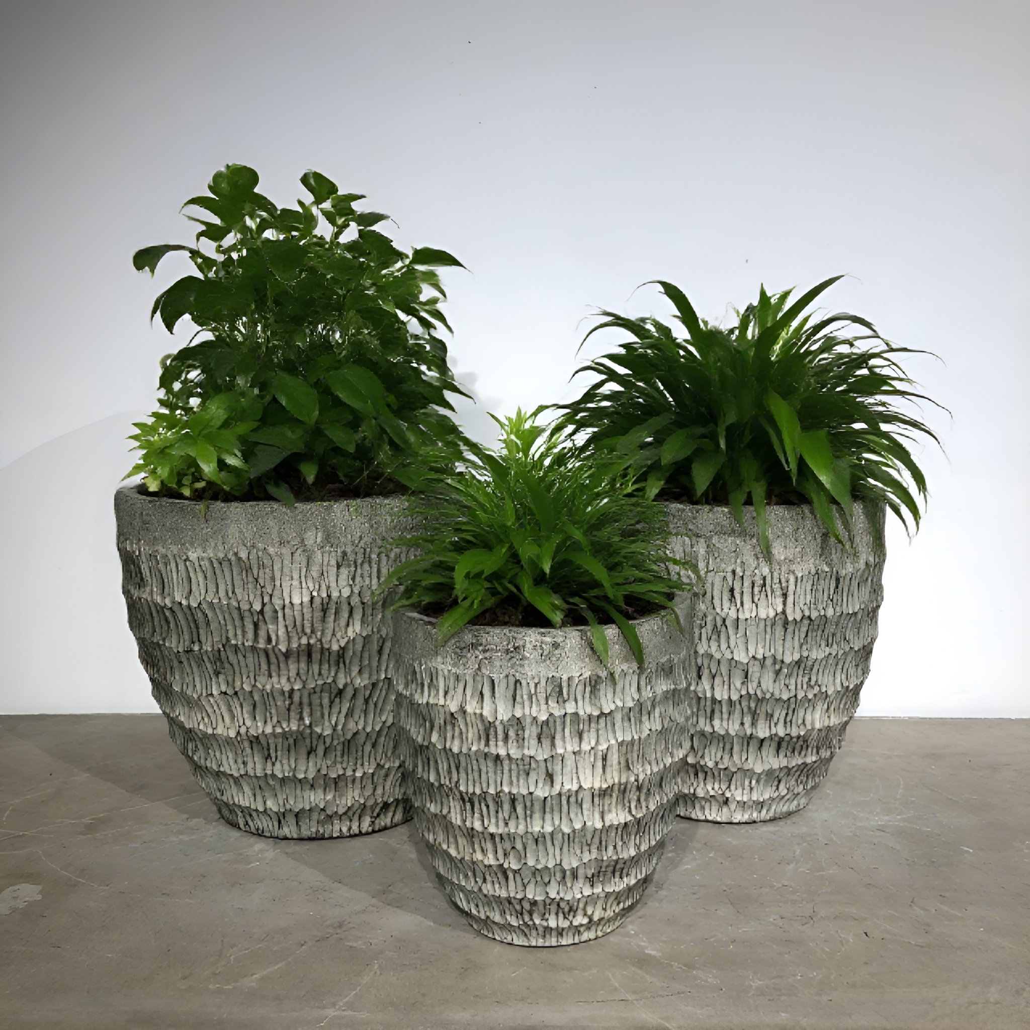 آخرین وبلاگ های شرکت در مورد گلدان های سیمان: جوش دادن به زندگی