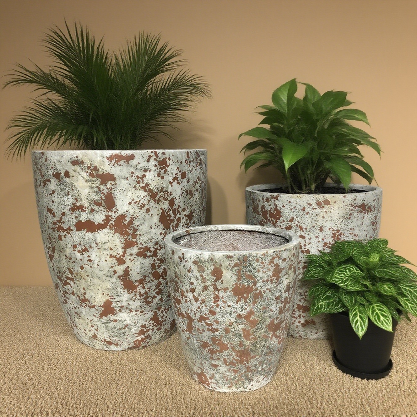 آخرین وبلاگ های شرکت در مورد گلدان های گل سیمان ٬ ٬ ٬ ٬ گلدان های گل سیمان ٬ ٬ ٬ گلدان های گل سیمان ٬ ٬ ٬ گلدان های گل سیمان ٬ ٬ ٬ گلدان های گل سیمان ٬ ٬ ٬ گلدان های گل سیمان ٬ ٬ ٬ گلدان های گل سیمان ٬ ٬ ٬ گلدان های گل سیمان ٬ ٬ ٬ گلدان های گل سیمان ٬ ٬ ٬ گلدان های گل سیمان ٬ ٬ ٬ گلدان های گل سیمان ٬ ٬ ٬ ٬ ٬ ٬ گلدان های گل سیمان ٬ ٬ ٬