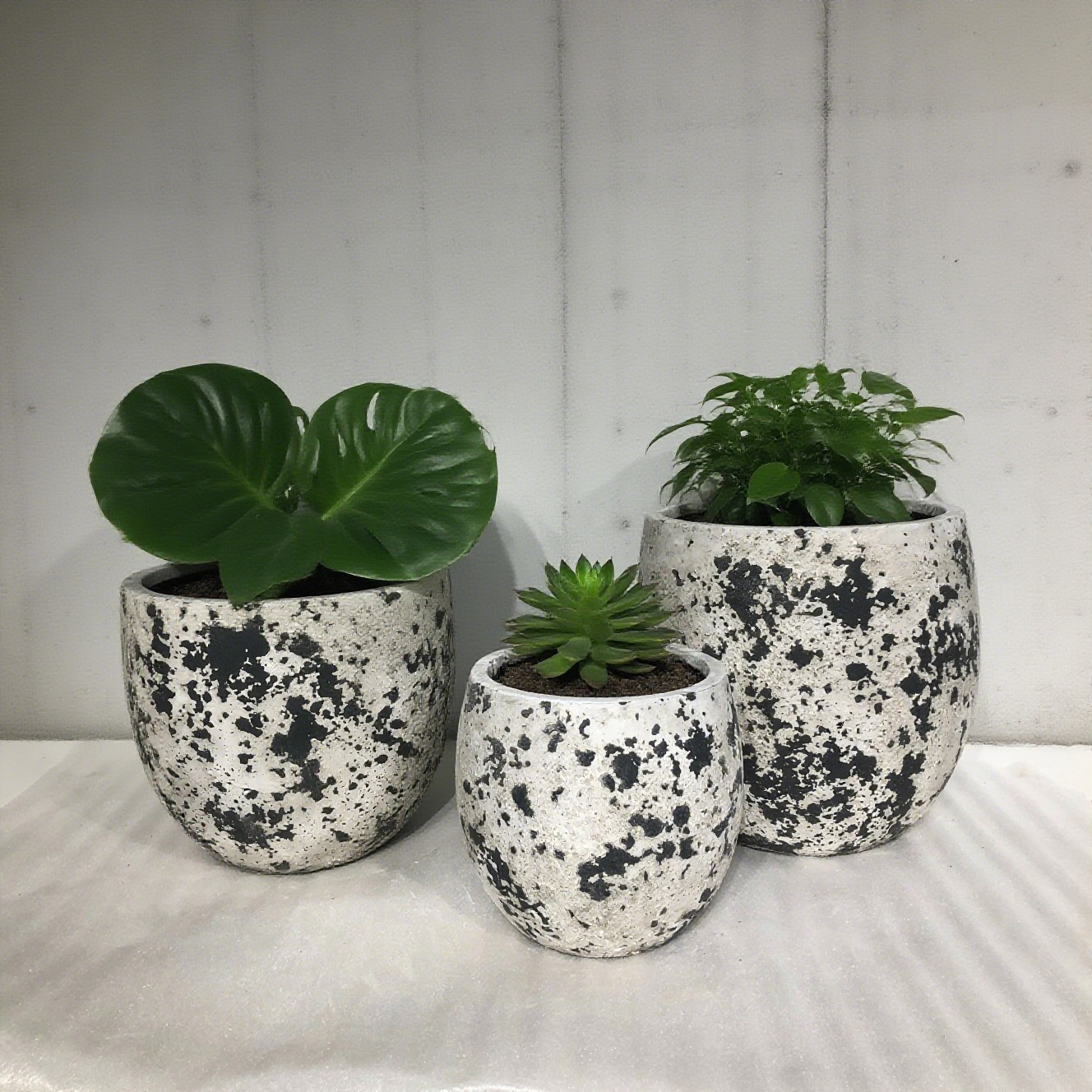 آخرین وبلاگ های شرکت در مورد گلدان های گل سیمانی | 