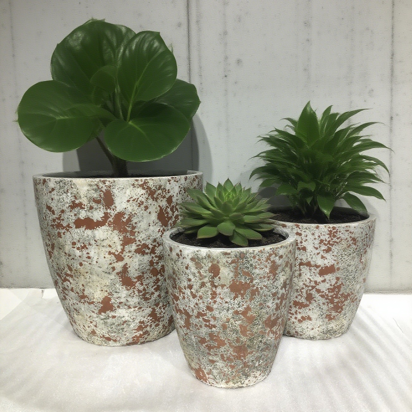 آخرین وبلاگ های شرکت در مورد گلدان های گل سیمان.