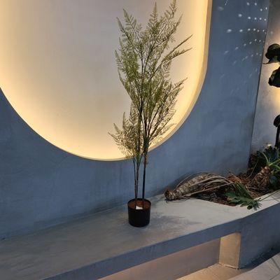 خرید درخت فرن مصنوعی فوق واقع بینانه - سبز پر رونق مقاوم در برابر اشعه UV نگهداری کم online manufacture