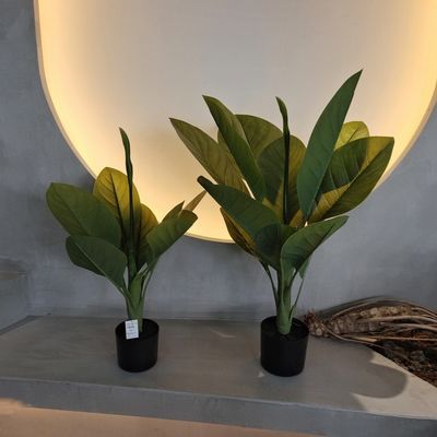 خرید مواد پلاستیکی طولانی مدت گیاهان مصنوعی 70 سانتی متر درخت Dieffenbachia مصنوعی online manufacture