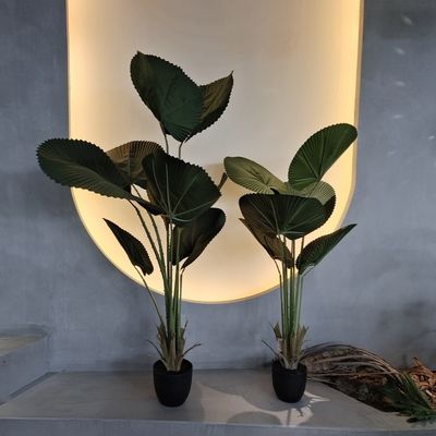 خرید درخت نخل فن مصنوعی واقع بین با برگ های سبز طبیعی online manufacture