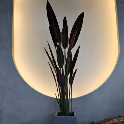 خرید گیاه مصنوعي براي داخل و خارج از منزل online manufacture