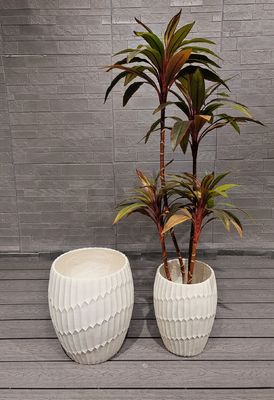 خرید فضاهای داخلی و خارجی کاشت کننده فیبرکلی با طول عمر طولانی مدت نگه داشتن 5-6 سال online manufacture