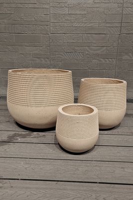 خرید گیاهان خود را با گیاهان ضد یخ با خاکستری تقویت شده 5-6 سال در فضای باز رشد دهید online manufacture