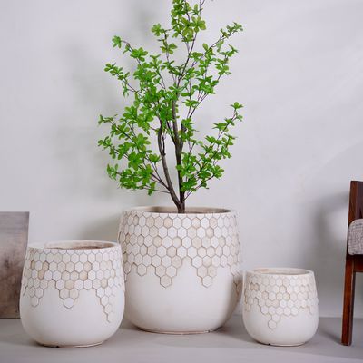 خرید گلدان های کوچک سازگار با محیط زیست آبریزی خانه برای کاشت داخلی / خارجی میز کار / باغ طراحی بسته بندی جعبه برای استفاده روزمره online manufacture