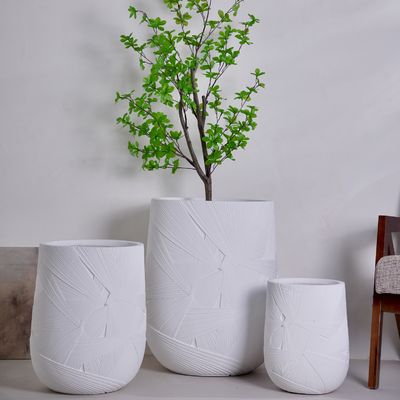 خرید گلدان کاشت چوبی شیشه ای ساخت دست ساز طراحی پایدار اروپایی برای تزئین گیاهان سبز online manufacture