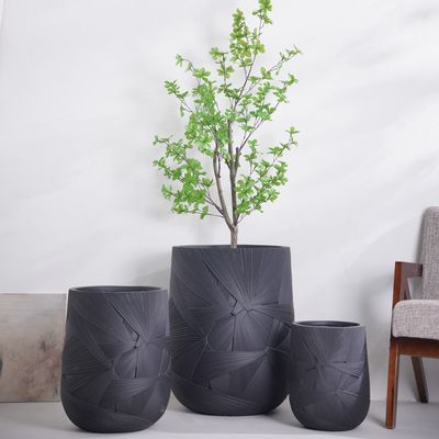 خرید گلدان کاشت چوبی شیشه ای ساخت دست ساز طراحی پایدار اروپایی برای تزئین گیاهان سبز online manufacture