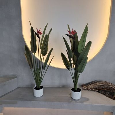 درخت نخل جعلی جذاب هیپوآلرژنیک برای تزئینات داخلی و خارجی ساخته شده است
