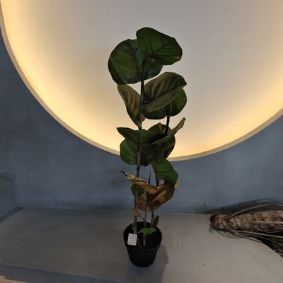 100 سانتی متر درخت مصنوعی کوکولوبا مقاوم در برابر اشعه UV