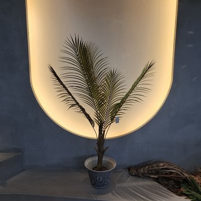 درخت نخل مصنوعی با ظاهر واقع بینانه کم حساسیت و مقاوم در برابر حشرات