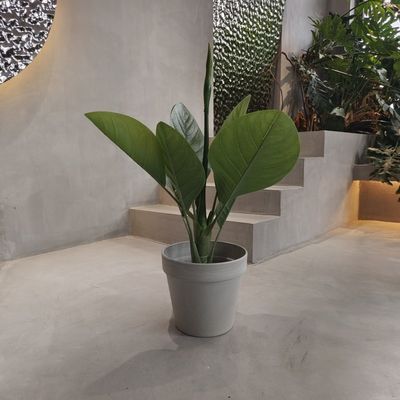 گلدان های باغ پلاستیکی سازگار با محیط زیست ضد آب 250*175*230MM