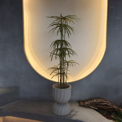 نباتات پلاستیکی مقاوم در برابر اشعه UV درخت مصنوعی Graptopetalum