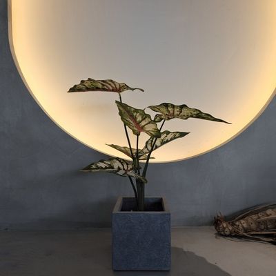 گیاهان مصنوعی پلاستیکی سبز شبیه به زندگی 70-120 سانتی متر برای تزئینات داخلی / خارجی