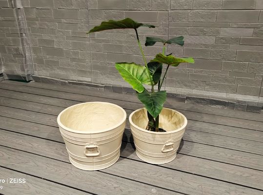 کشف گیاهان کامل فیبر خاکستری برای باغ خود را طراحی پایدار و شیک