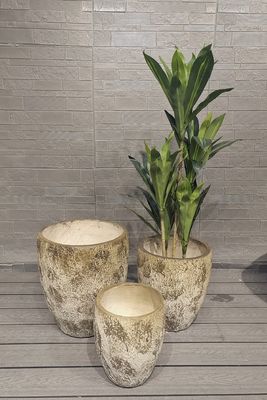 گلدان باغ بلند خشکی دور فیبر خاکستری سبک وزن دوام دار