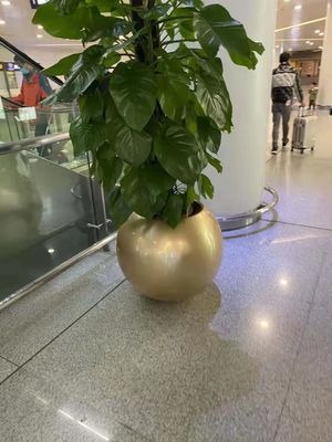 نام