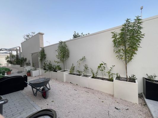نام